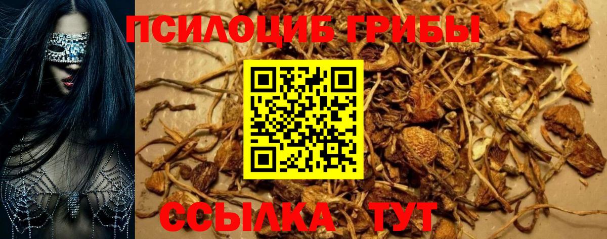 Галлюциногенные грибы ЛСД  Вход с VPN  где можно купить   Галлюциногенные грибы MAGIC MUSHROOMS  Батайск 