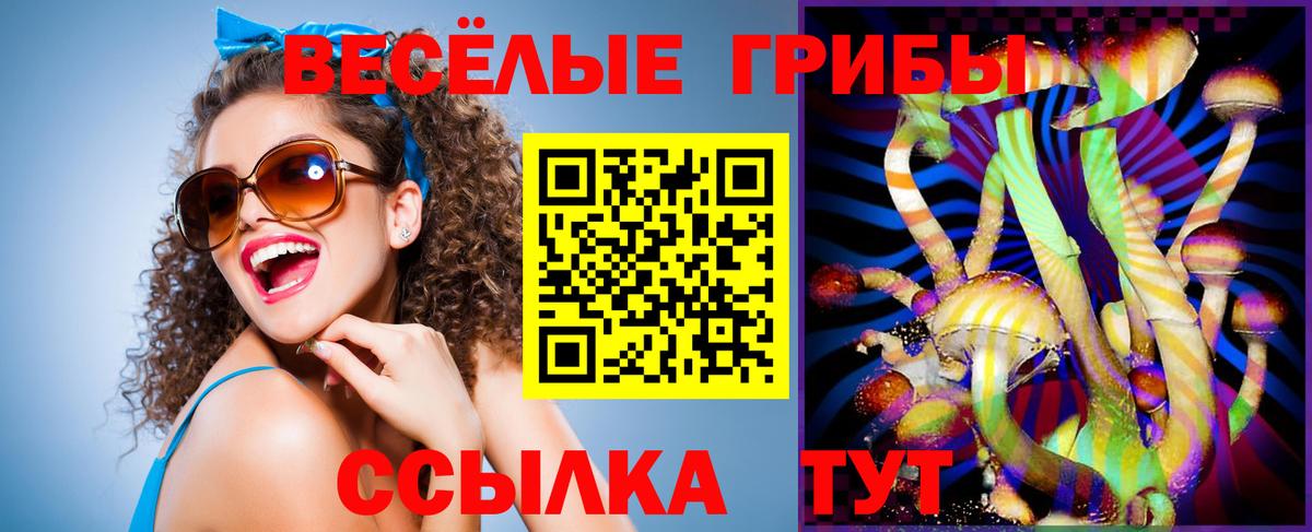 Псилоцибиновые грибы мухоморы Батайск